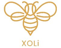 Meet Xoli Logo