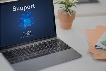 Continuous Support & Dedicated Post-Launch Care