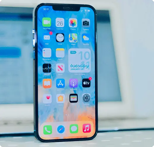 Custom iOS App Development