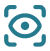 development process